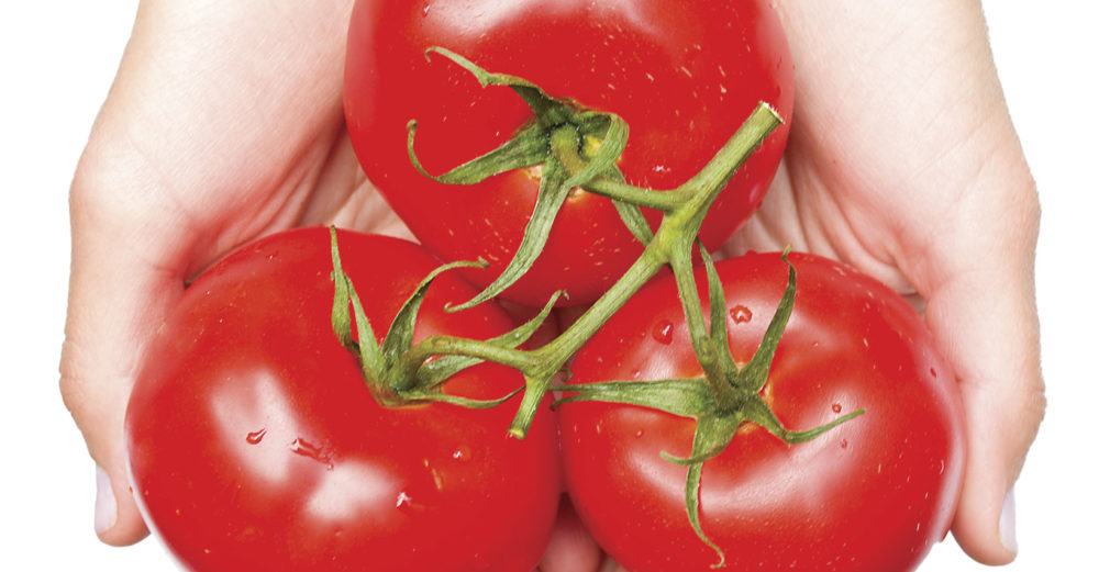 Ät mer tomater om du vill få en bra magkänsla!