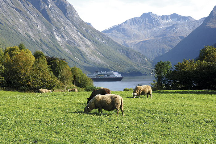 MS Trollfjord på vackra Hjöringsfjorden bland ängar och betande får.